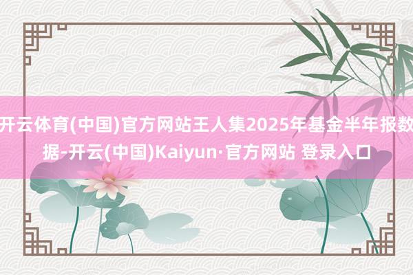 开云体育(中国)官方网站王人集2025年基金半年报数据-开云(中国)Kaiyun·官方网站 登录入口