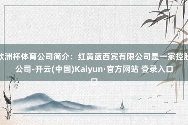 欧洲杯体育公司简介：红黄蓝西宾有限公司是一家控股公司-开云(中国)Kaiyun·官方网站 登录入口