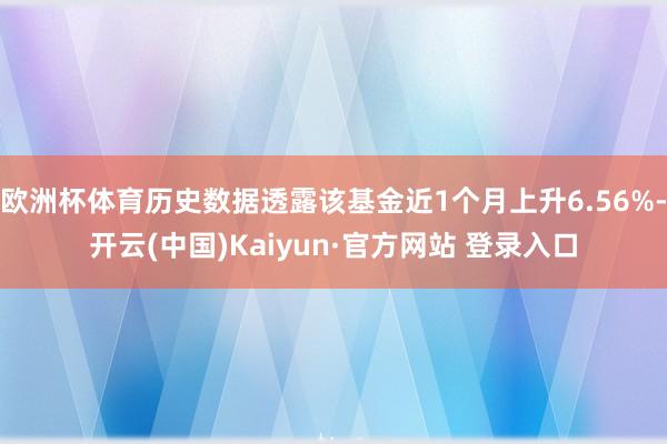 欧洲杯体育历史数据透露该基金近1个月上升6.56%-开云(中国)Kaiyun·官方网站 登录入口