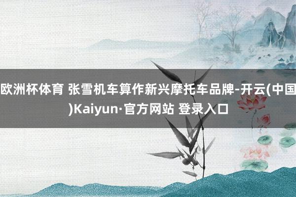 欧洲杯体育 张雪机车算作新兴摩托车品牌-开云(中国)Kaiyun·官方网站 登录入口