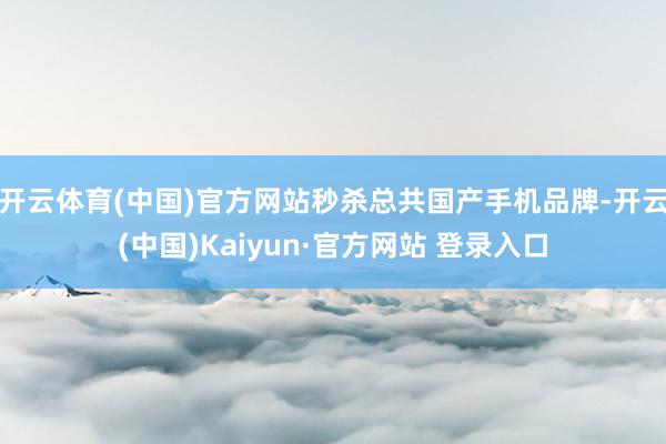 开云体育(中国)官方网站秒杀总共国产手机品牌-开云(中国)Kaiyun·官方网站 登录入口