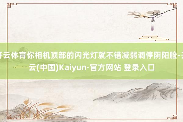 开云体育你相机顶部的闪光灯就不错减弱调停阴阳脸-开云(中国)Kaiyun·官方网站 登录入口