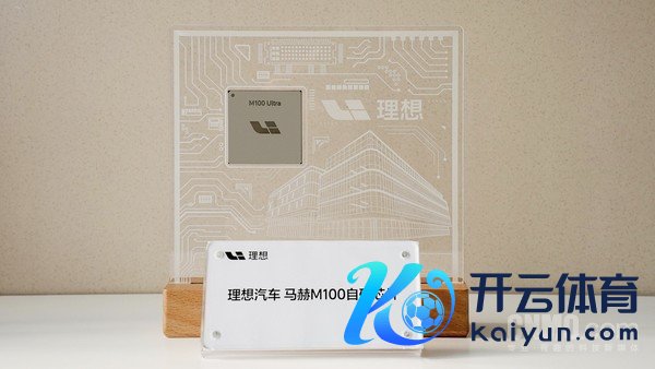 理念念自研芯片马赫M100