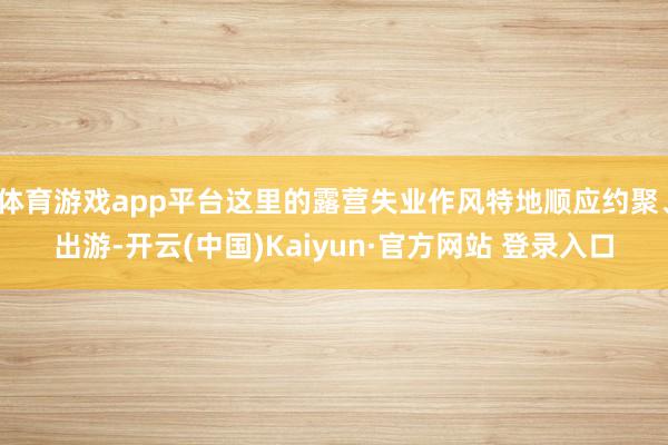 体育游戏app平台这里的露营失业作风特地顺应约聚、出游-开云(中国)Kaiyun·官方网站 登录入口