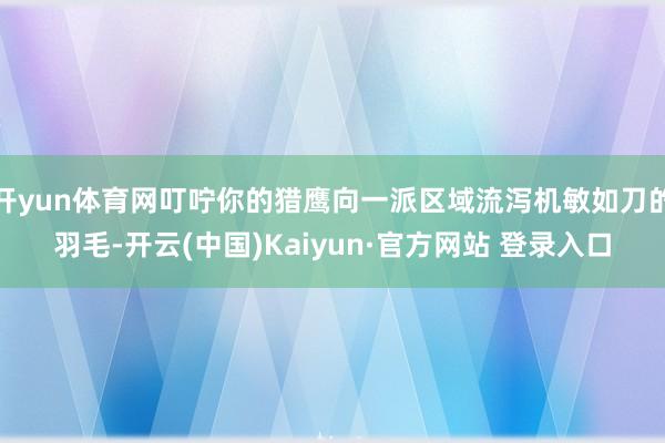 开yun体育网叮咛你的猎鹰向一派区域流泻机敏如刀的羽毛-开云(中国)Kaiyun·官方网站 登录入口