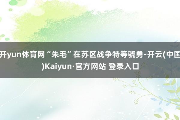 开yun体育网“朱毛”在苏区战争特等骁勇-开云(中国)Kaiyun·官方网站 登录入口